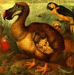 The Famous DODO
